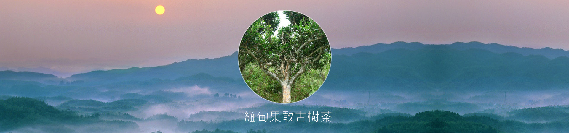 山東建投重工有限公司